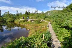 鏡平山荘近くの池塘。