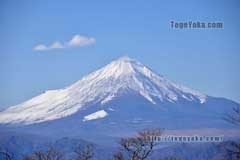 富士山の大展望。