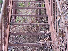 古びた鉄の階段。