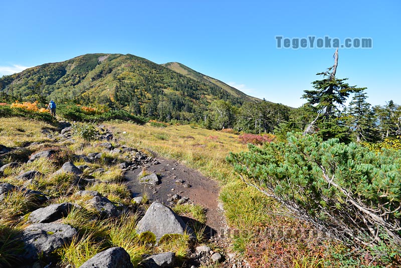 スゴ乗越小屋付近