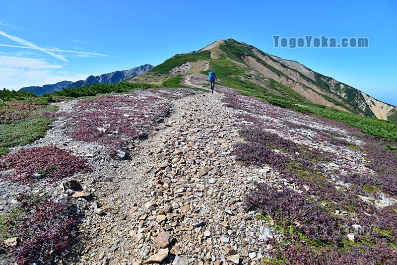 薬師岳手前の二重稜線