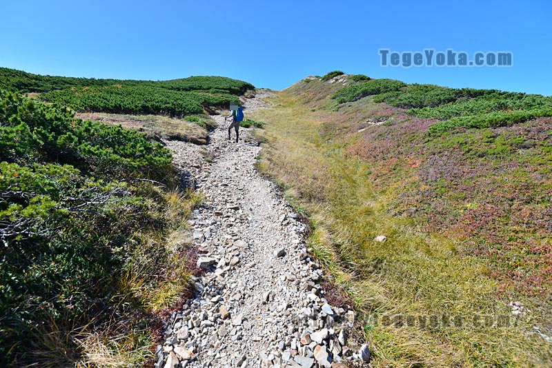 薬師岳手前の二重稜線