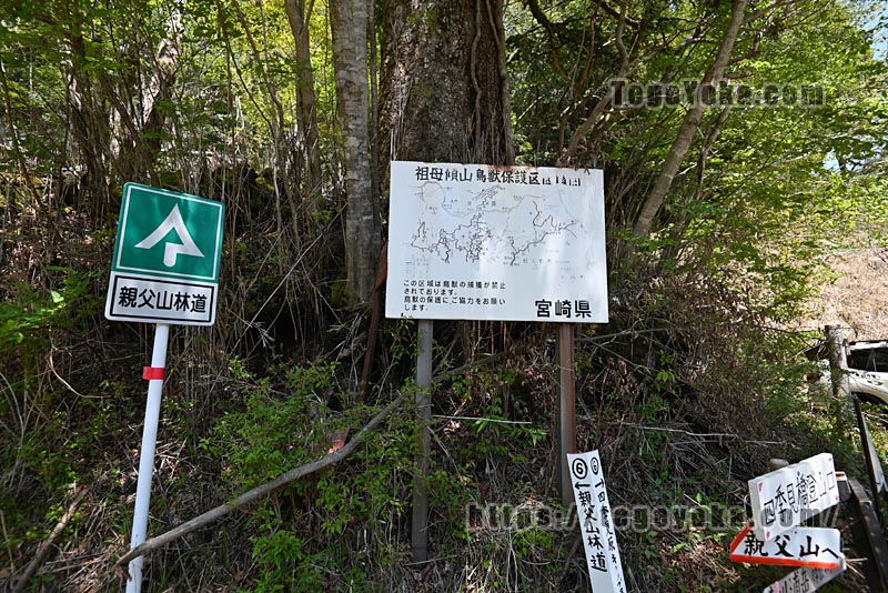 祖母山・四季見橋登山口コース
