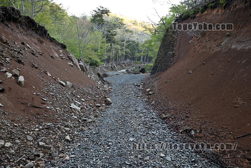 祖母山・四季見橋登山口コース