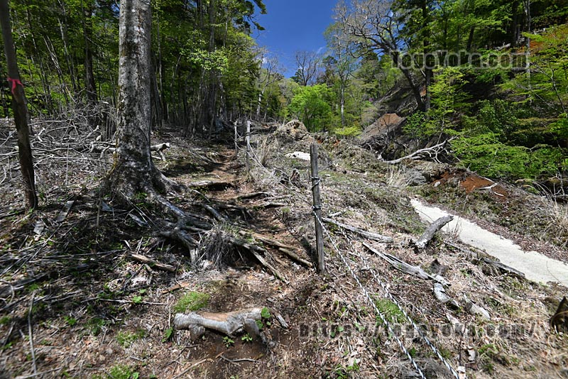 祖母山・四季見橋登山口コース