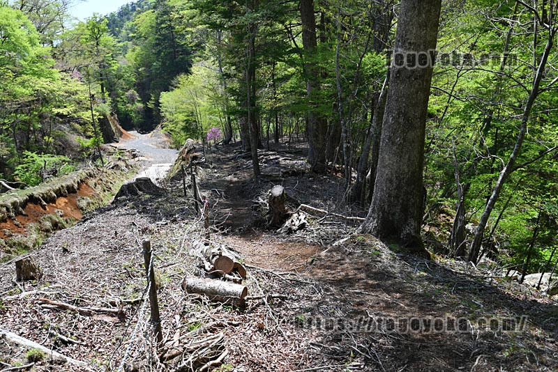 祖母山・四季見橋登山口コース