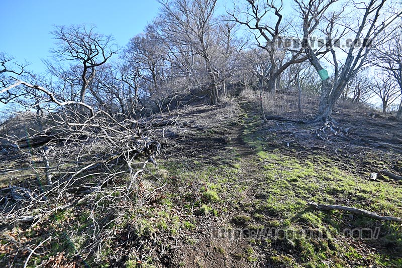 祖母山・四季見橋登山口コース