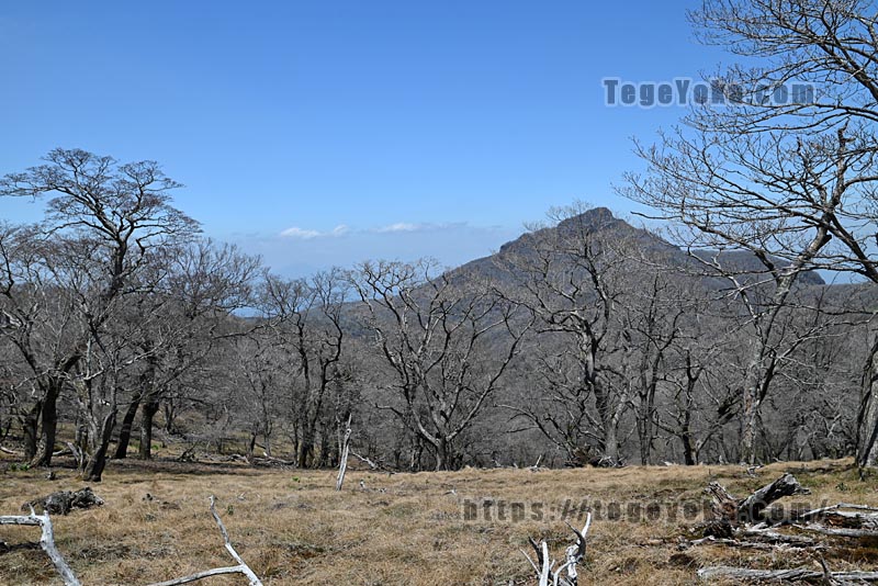 祖母山・四季見橋登山口コース