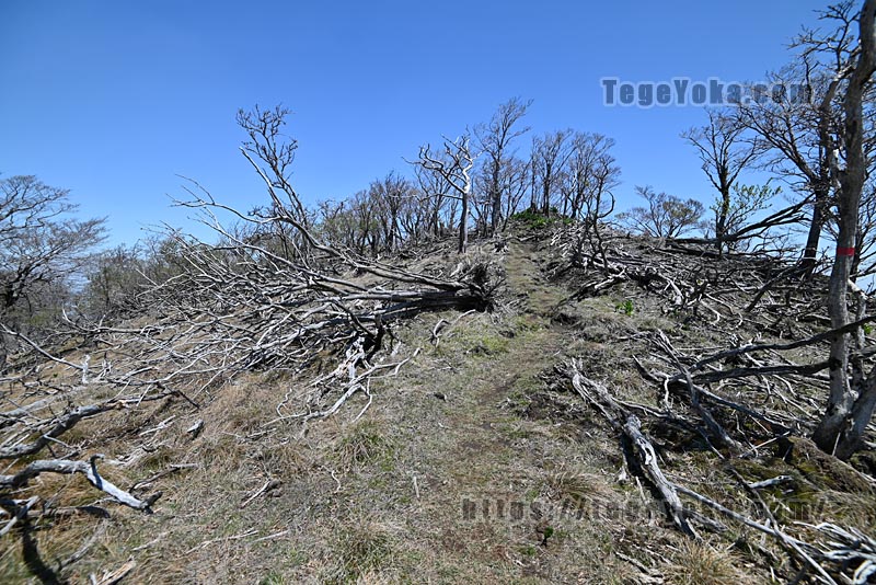 祖母山・四季見橋登山口コース