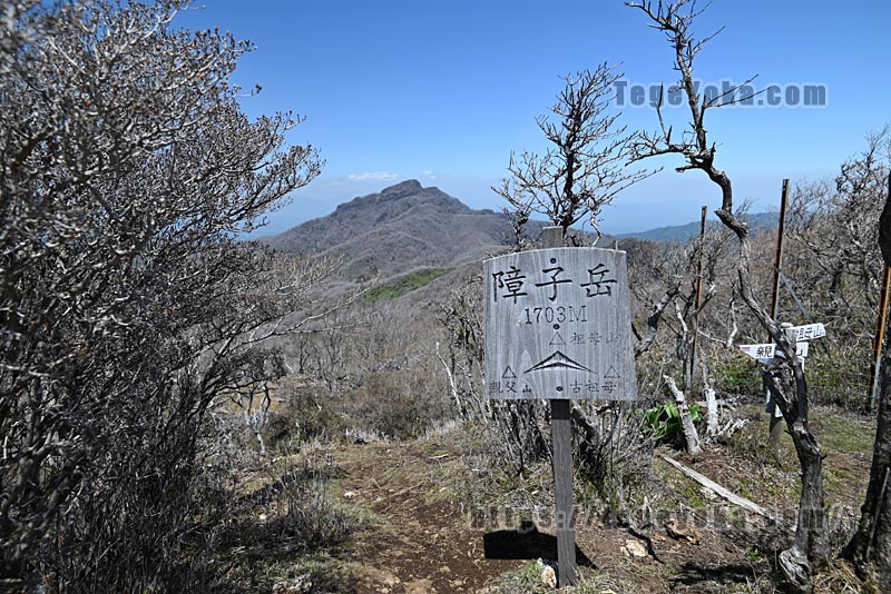 祖母山・四季見橋登山口コース