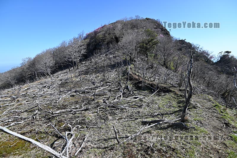 祖母山・四季見橋登山口コース