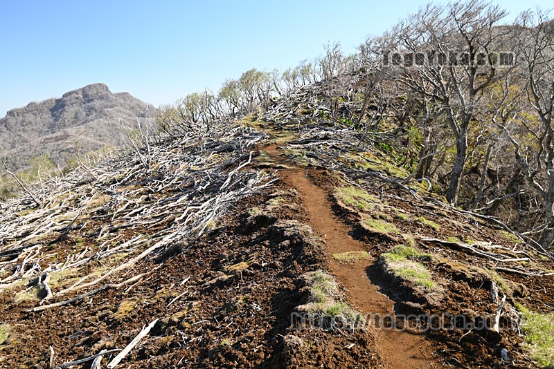 祖母山・四季見橋登山口コース
