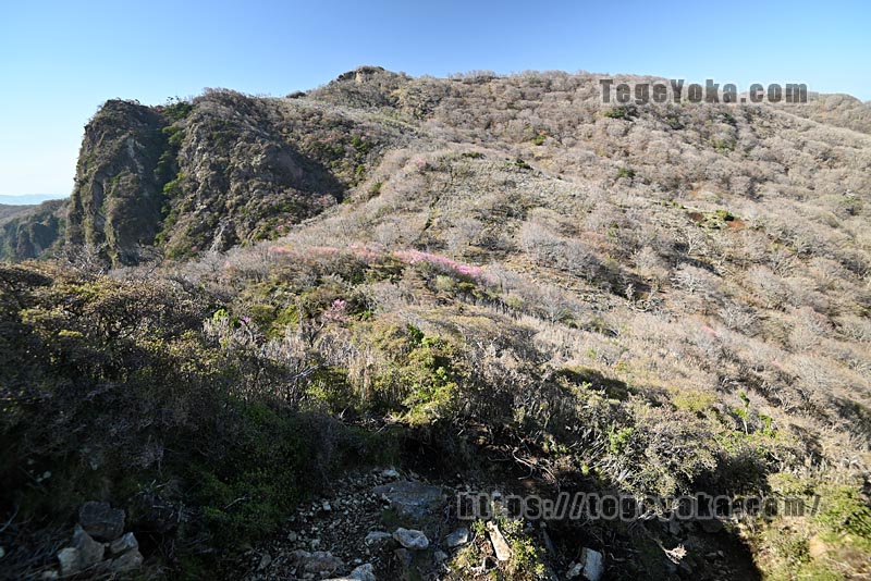 祖母山・四季見橋登山口コース