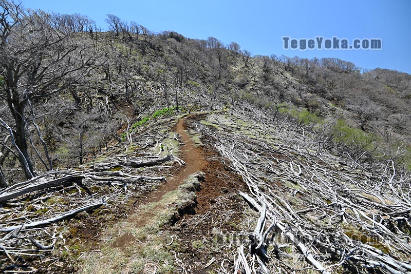祖母山・四季見橋登山口コース