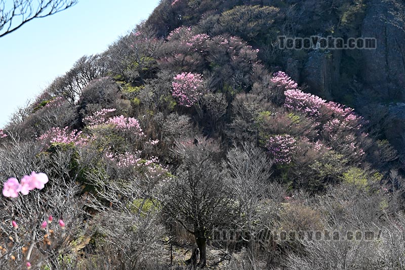 祖母山・四季見橋登山口コース