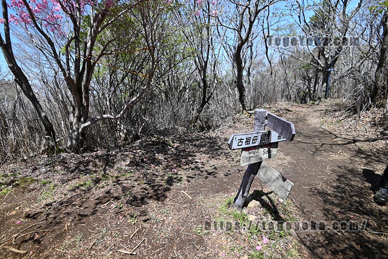 祖母山・四季見橋登山口コース