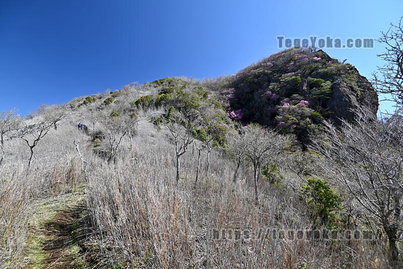 祖母山・四季見橋登山口コース