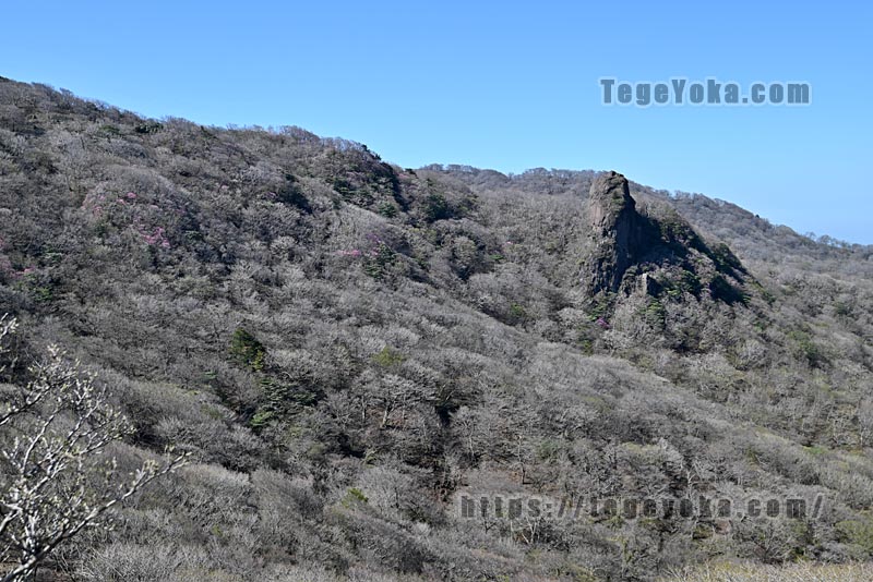 祖母山・四季見橋登山口コース