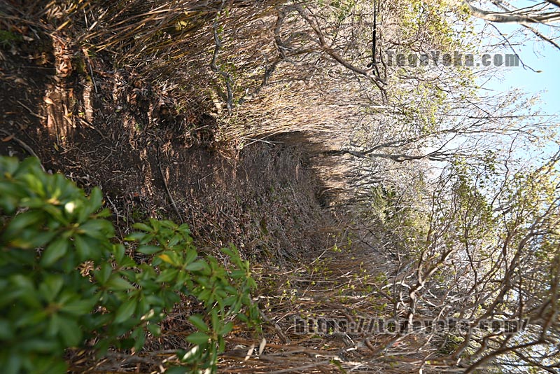 祖母山・四季見橋登山口コース