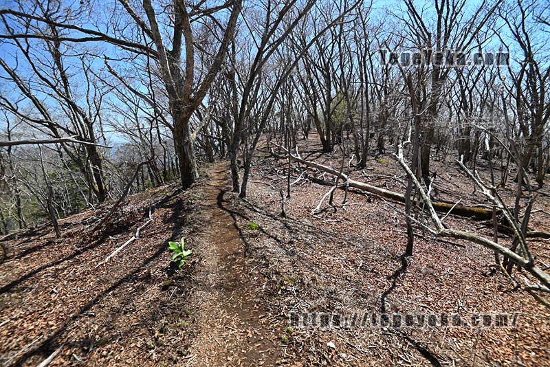 祖母山・四季見橋登山口コース