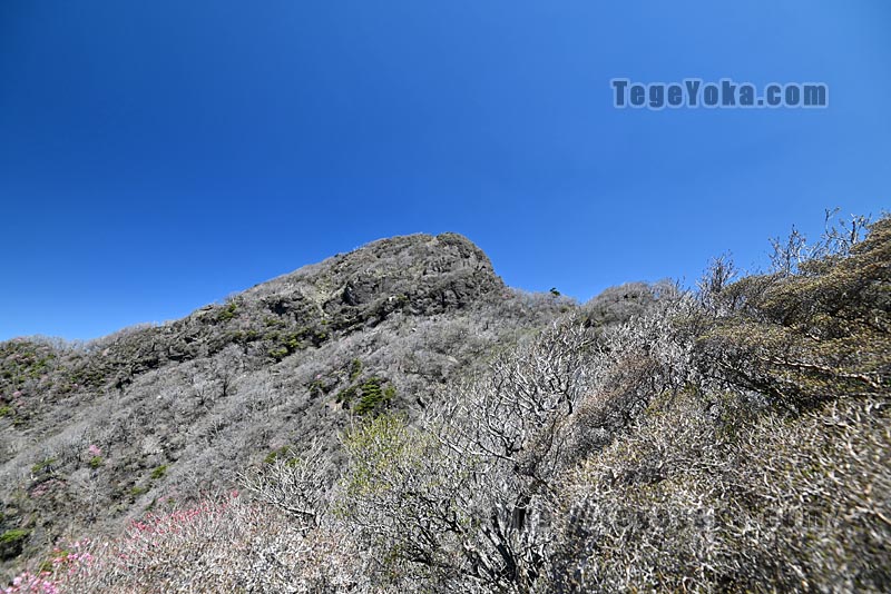 祖母山・四季見橋登山口コース