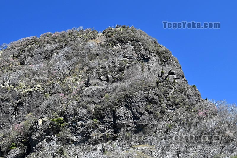 祖母山・四季見橋登山口コース