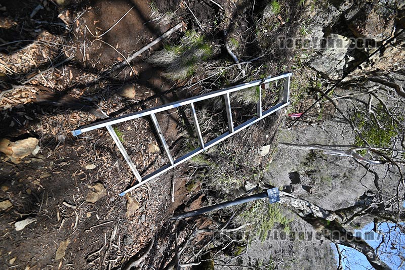 祖母山・四季見橋登山口コース