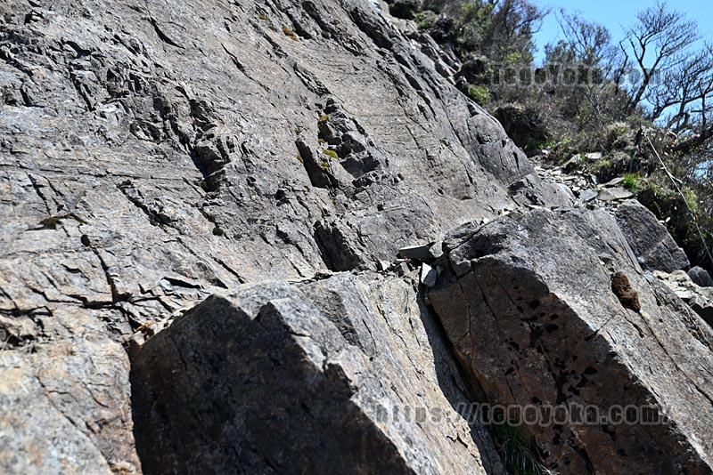 祖母山・四季見橋登山口コース